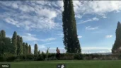 RUN emote