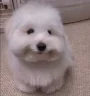 ))0 emote