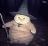 fatasswizardcatshiftsintowaifu emote