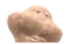 peeDanse