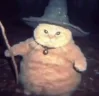 fatasswizardtransformsintoskeleton emote