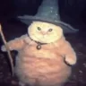 fatasswizardcaststsunami emote