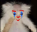 bageljoker