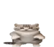 lildans emote