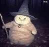 fatasswizardcatrunsaway emote