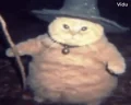 fatasswizardchanneling emote