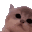 kittyJam