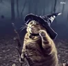 fatasswizardcatclassic emote