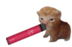 vapebert emote