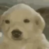 um emote