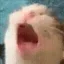 AAAA