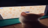 Naggets emote