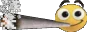 aza