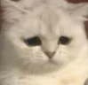 ( emote