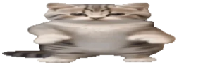 nodans emote
