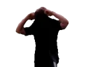 heinzReady emote