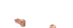 ejhands emote