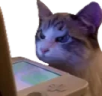 Hatewatching emote