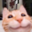 chi
