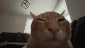buhSquish emote