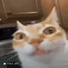 ErmSquish emote
