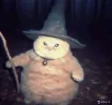 fatasswizardgivesyouflower emote