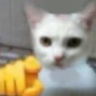 YOU emote
