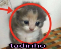Tadinho emote