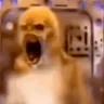 CRASHINGOUT emote