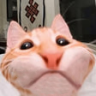 (((( emote