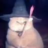 fatassWizardRose emote