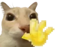 WAVE emote