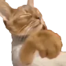 Skip emote