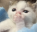 gasp
