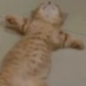 ded emote