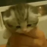 BlessYou emote