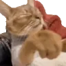 skiP emote