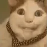 bcat emote