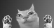 cinerma emote