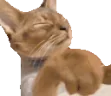 yaya emote