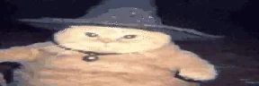 fatasswizardcastsdelete emote