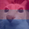 otagBi emote