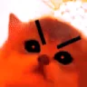 EVILCAT emote