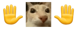 mb emote