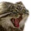 PagChamping
