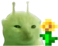 glorpFlower emote