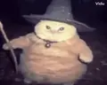 fatasswizardsummonstoomanyhats emote