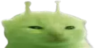 glorp emote