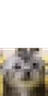 mo emote
