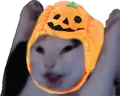 WAHOO emote